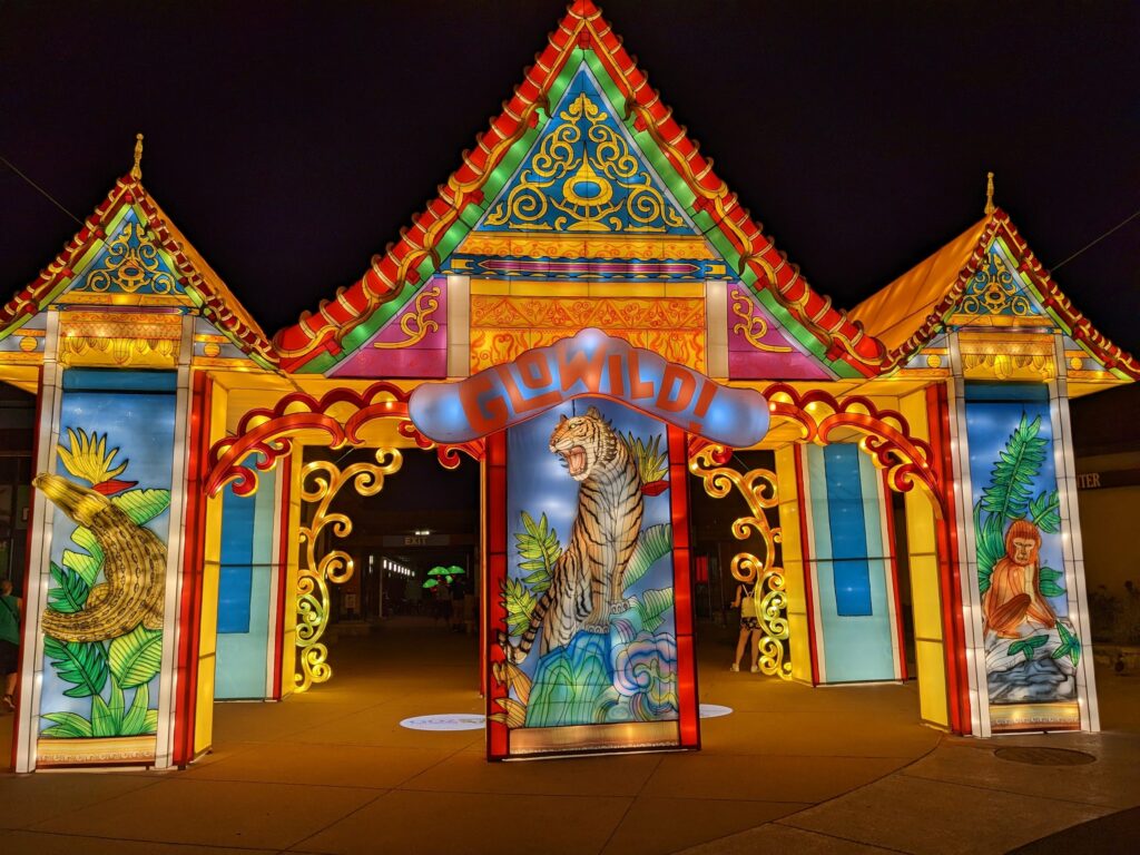 Large Lantern with a Tiger roaring at the GloWild Lantern Festival at the Kansas City Zoo