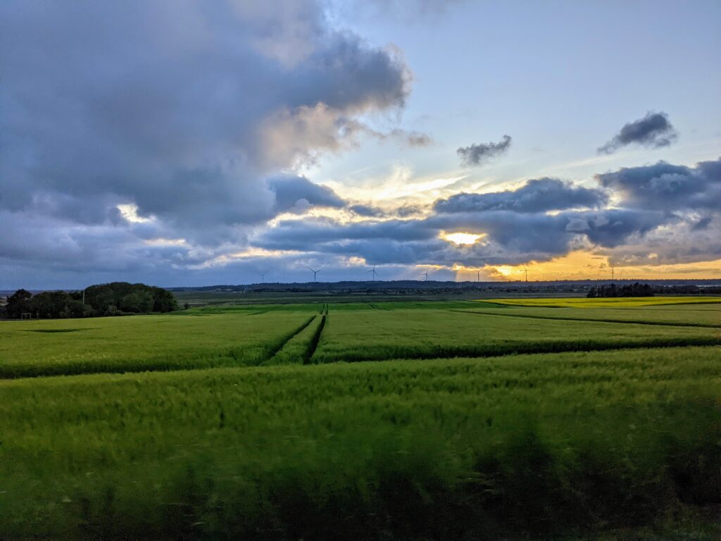 Sunset over a field